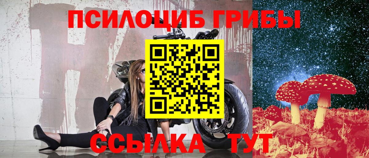 Псилоцибиновые грибы ЛСД Курчатов